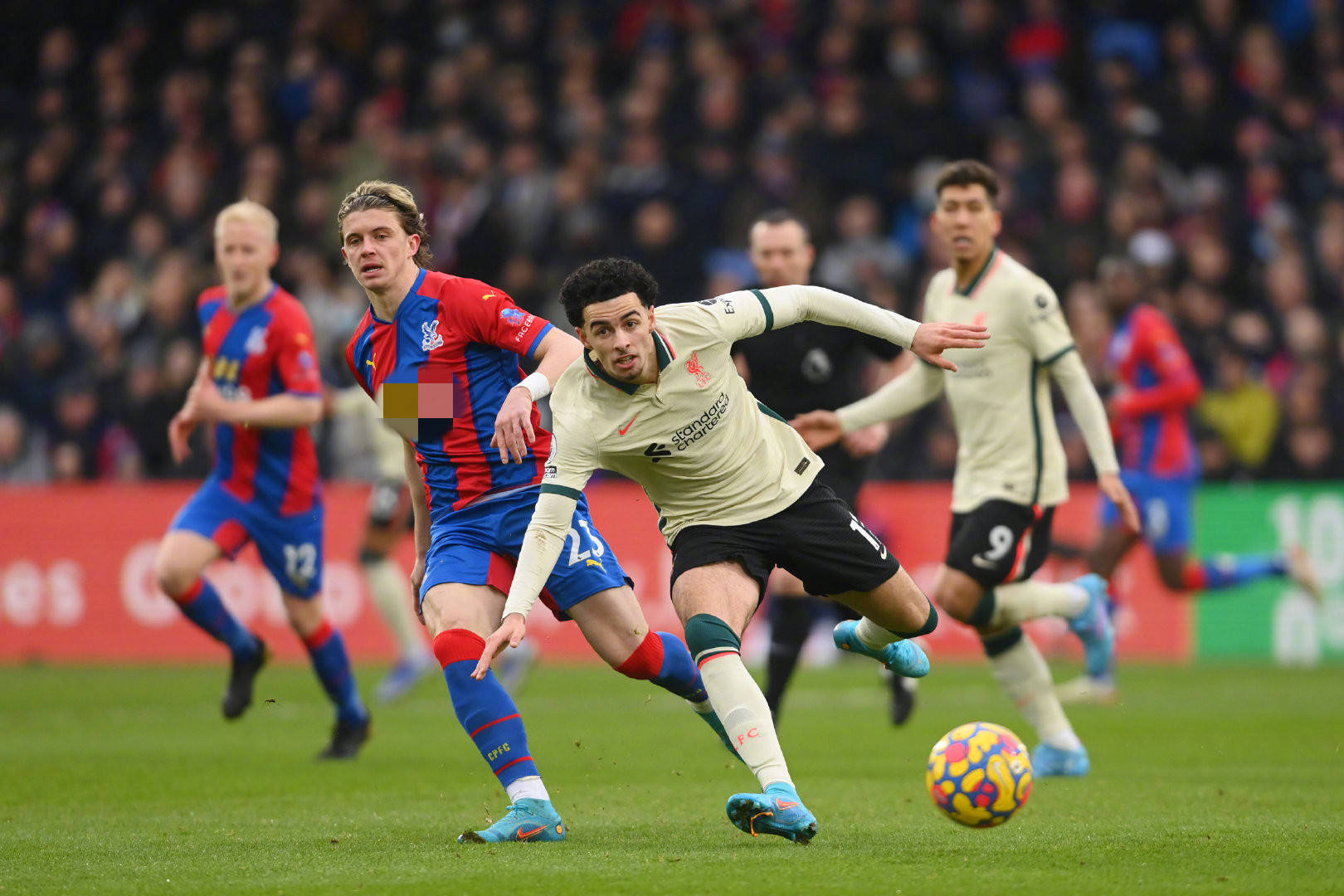 也给很多年 也给很多年