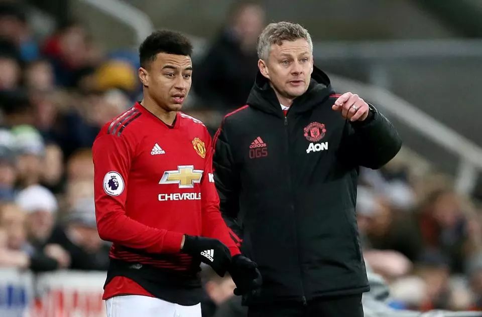 的大背景下 的大背景下